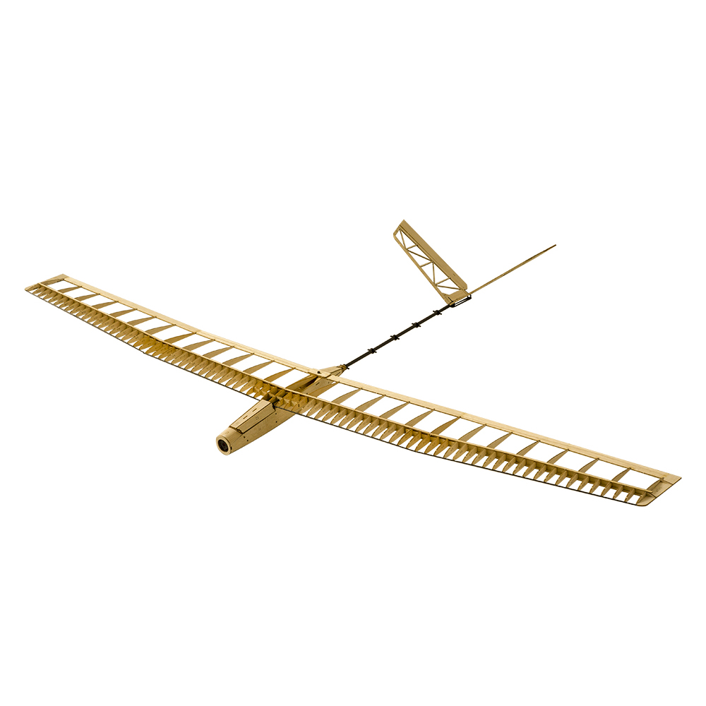 DW Hobby RC Glider Aircraft U- - Rc Wing Glider ulasan dan harga